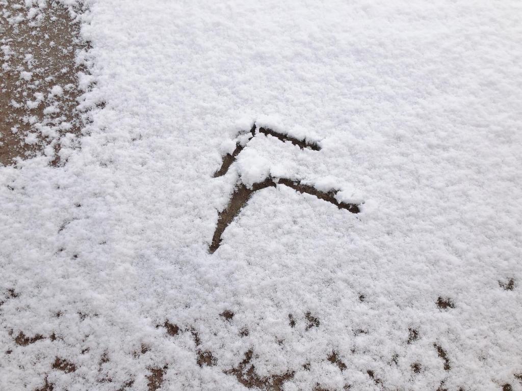 大雪の中、ご来店ありがとうございます!!