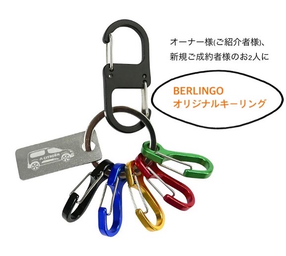 BERLINGO FRIENDS CAMPAIGN!