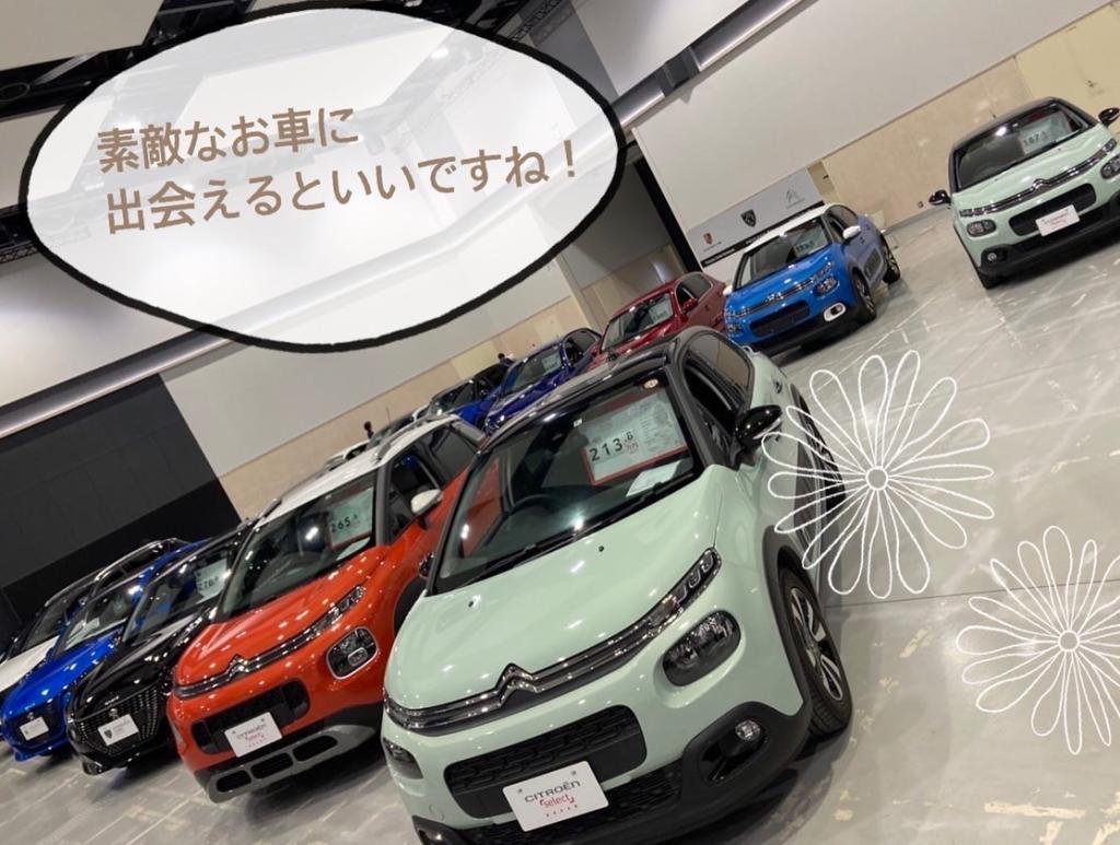 富山輸入車ディーラーズ～中古車フェア2022～開催中！