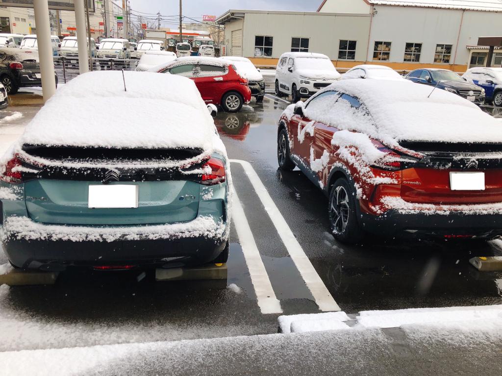 富山初雪