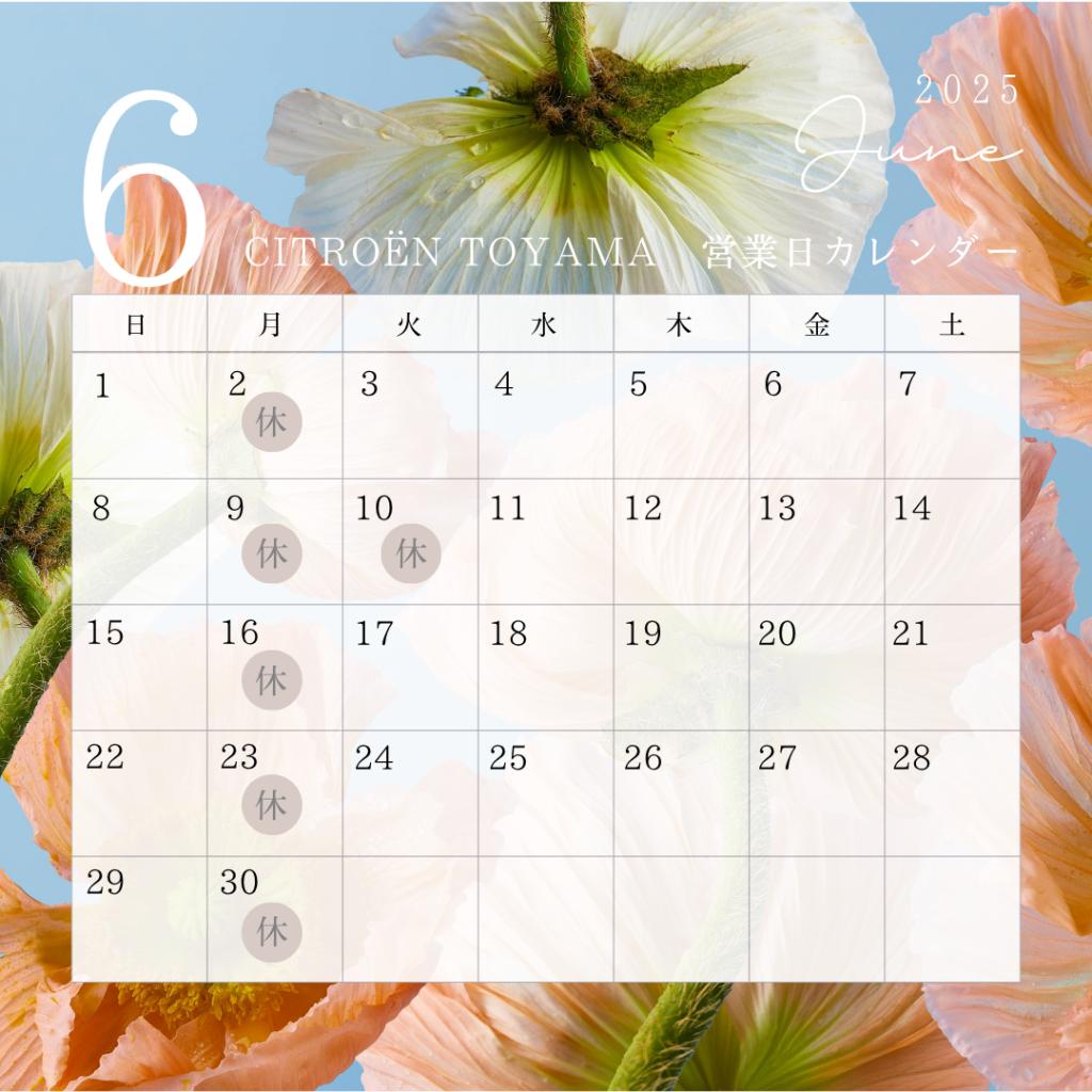 ～6月定休日のお知らせ～