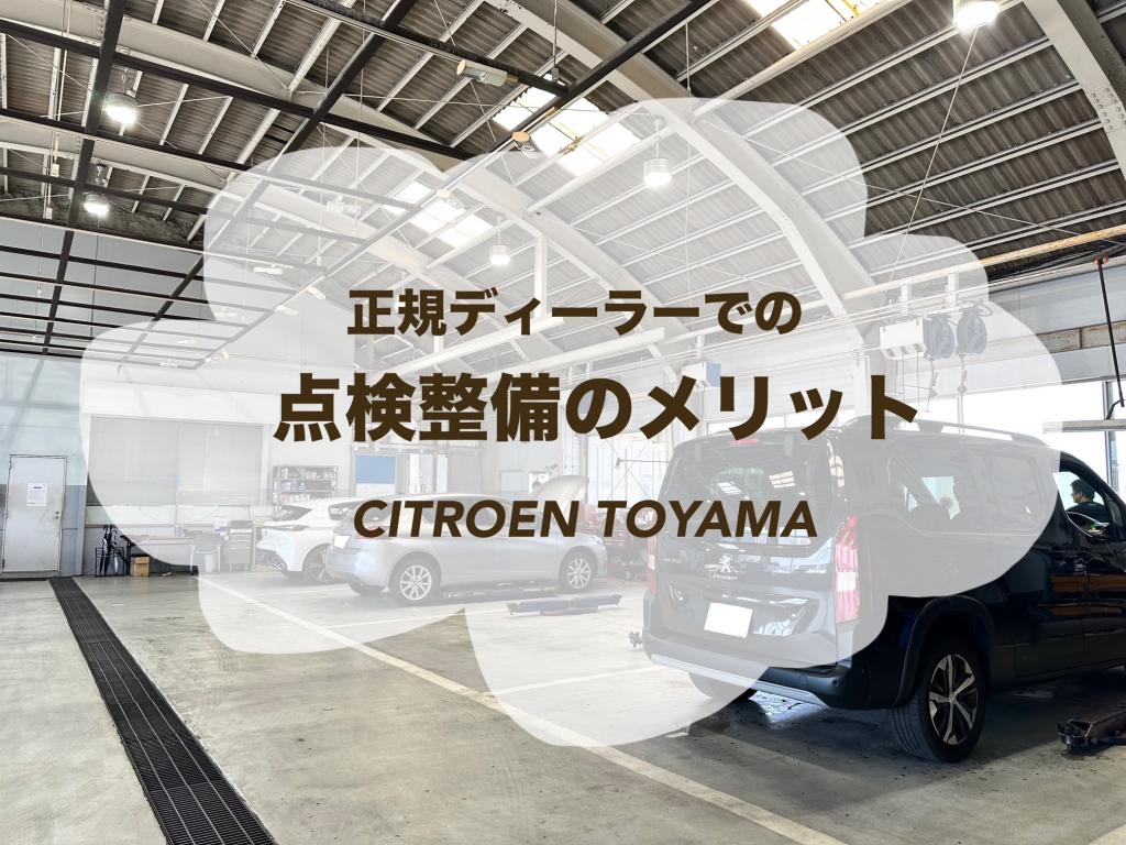 スペシャリスト