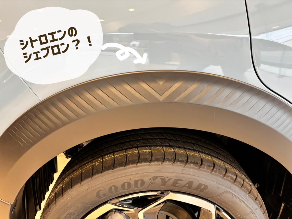 NEW C3 シェブロン探し！