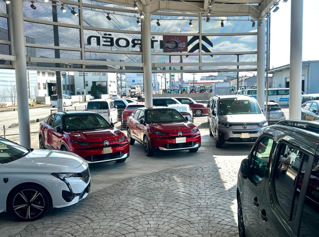 スペシャルオファー開催中